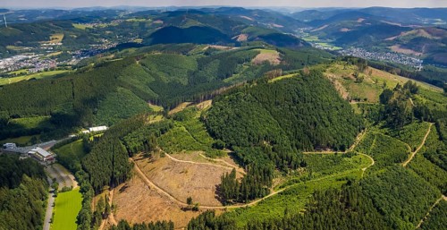 Aerial view, forest area with forest damage near Benolpe, Bilstein, Kirchhundem, Sauerland, North