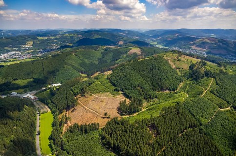 Aerial view, forest area with forest damage near Benolpe, Bilstein, Kirchhundem, Sauerland, North