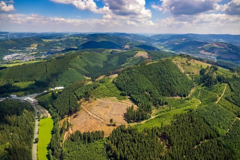 Aerial view, forest area with forest damage near Benolpe, Bilstein, Kirchhundem, Sauerland, North