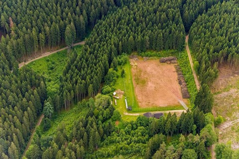 Aerial view, sports field in the forest as storage area, Hofolpe, Kirchhundem, Sauerland, North