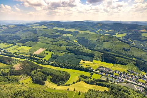 Aerial photo, Mühlenuntergraben, Oberelsper forest with forest damage, Altenvalbert, Lennestadt,