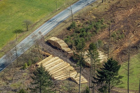 Aerial photo, forest damage at Kihlenberg, wood pile, damaged wood, Kruberg, Kirchhundem,