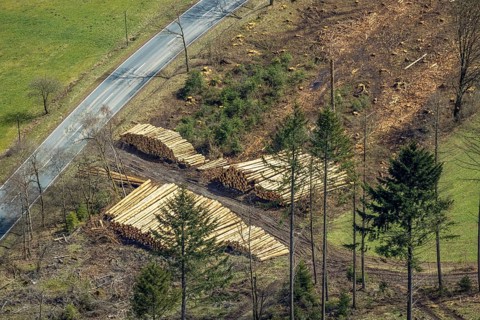 Aerial photo, forest damage at Kihlenberg, wood pile, damaged wood, Kruberg, Kirchhundem,