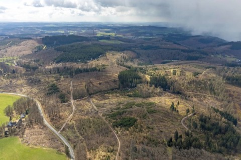 Aerial view, forest damage at Kihlenberg, Kruberg, Kirchhundem, Sauerland, Olpe district, North