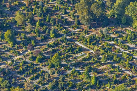 Aerial view, cemetery at Claudiusstraße in the district Wanne in Herne, Ruhr area, North