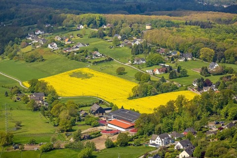 Aerial view, rape field and water tower Kermelberg, horse pension Gut Kermelbach, Westende,