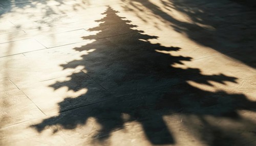 Christmas Tree Shadow: A Decorative Element For Collages And Mockups. Creative Overlay Effect For