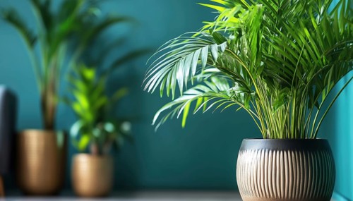Lush Green Plants In Stylish Pots Creating A Cozy Indoor Garden Against A Teal Wall With Modern