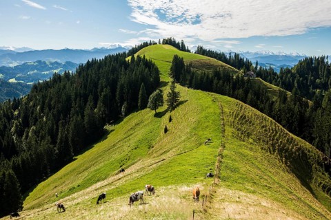 Panorama, snow-covered mountains, Bernese Oberland, view from Lüderenalp, Emmental, Canton of Bern,