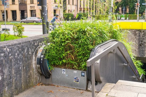 Underground entrance with lush vegetation and escalator, in an urban environment, Munich, Germany