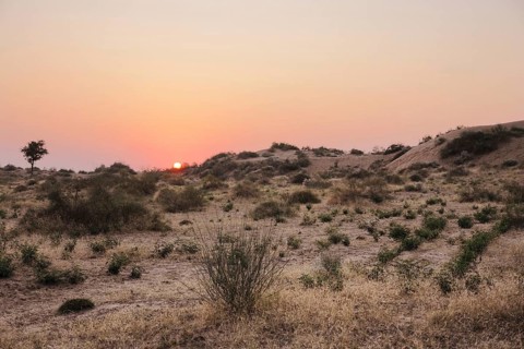 Idyllic sundown at Thar Desert in India