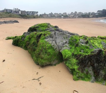 Beach scenery around Saint-Malo, a port city in northwestern France
