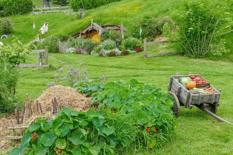Idyllic scenery at The Shire represented by a region near Matama at the North Island of New Zealand