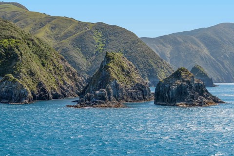 Coastal impression at Queen Charlotte Sound in New Zealand