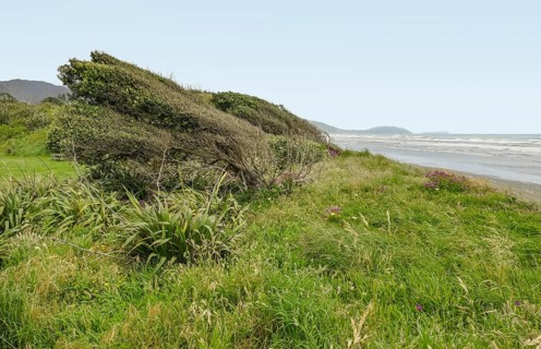Scenery at the Whareroa beach at Queen Elizabeth park in New Zealand