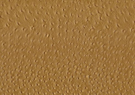 Full frame abstract brown ostrich leather surface