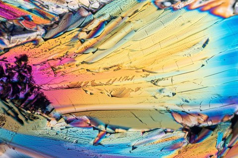 Colorful micro crystals of liqueur in polarized light