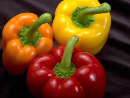 Fresh red, orange and yellow bell peppers in dark back