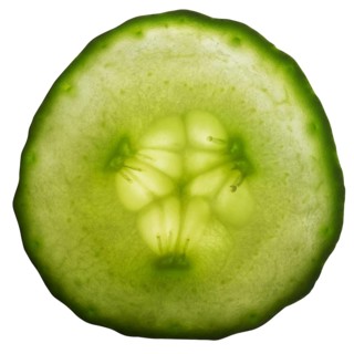 Sliced fresh green gherkin in white back