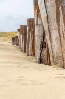 Sandy beach detail showing a groyne and dune overgrown with grass in a dutch province named Zeeland