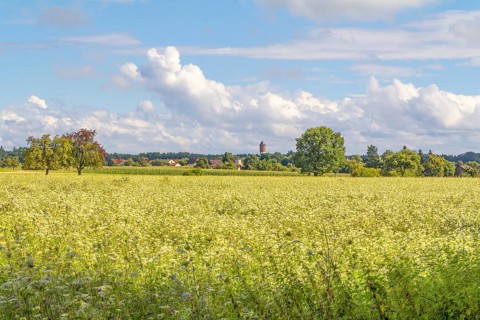 Rural agricultural scenery in Hohenlohe, a area in Southern Germany