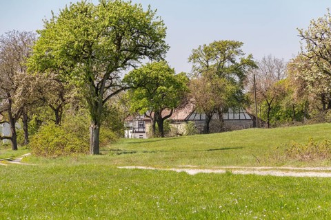 Idyllic rural scenery showing a farmstead behind some trees at spring time in Southern Germany