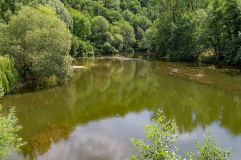 Riparian scenery around river Jagst in southern Germany at summer time