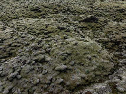 Lava, mosses, volcanic landscape, cloudy, summer, aerial view, Eldhraun, Kirkjubaerklaustur,
