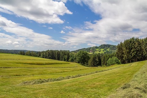 Scenery around Wiesenfelden in the Bavarian Forest at summer time