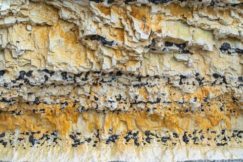 Chalk cliff closeup seen near Fecamp, a commune in the department of Seine-Maritime at the Normandy
