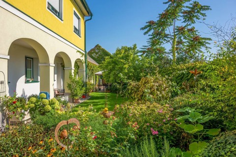 Sunny garden scenery in Podersdorf am See in Burgenland in Austria