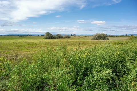 Idyllic rural scenery around Illmitz in a area named Burgenland in Austria