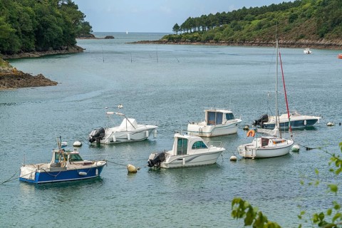 Coastal scenery at the Belon River in Brittany, France