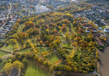 Aerial view, autumn colours at Brauck cemetery in the Brauck district of Gladbeck, Ruhr area, North