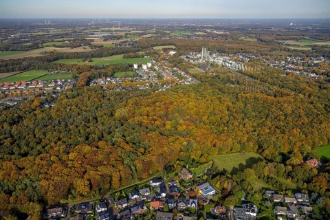 Aerial view, forest area in autumn colours and Ineos Phenol chemical plant in the district Rentfort