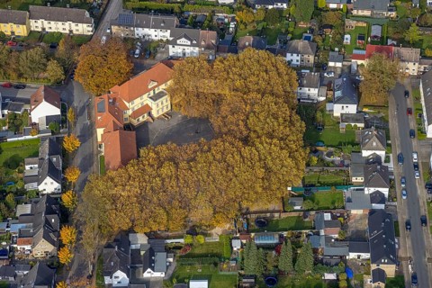 Aerial photo, Pestalozzi School and autumn-coloured trees in the district of Zweckel in Gladbeck,