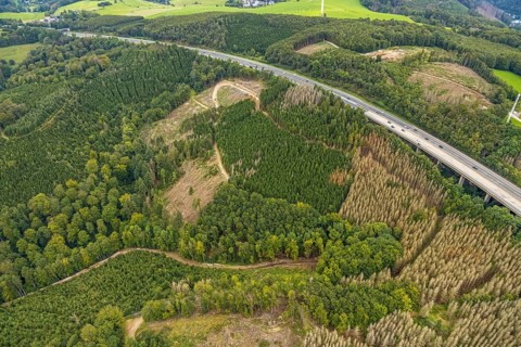 Aerial photograph, forest damage on the A45 motorway in the Dahl district of Hagen, Ruhr area,
