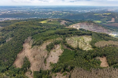 Aerial view, forest damage at Rafflenbeuler Kopf at the village Zurstraße in the district Eilpe in