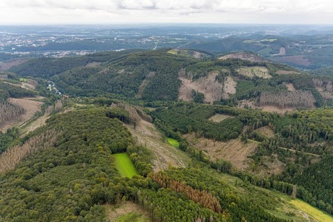 Aerial view, forest damage at Rafflenbeuler Kopf at the village Zurstraße in the district Eilpe in