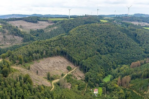 Aerial photo, forest damage and wind turbines in the Rummenohl district of Hagen, Ruhr area, North