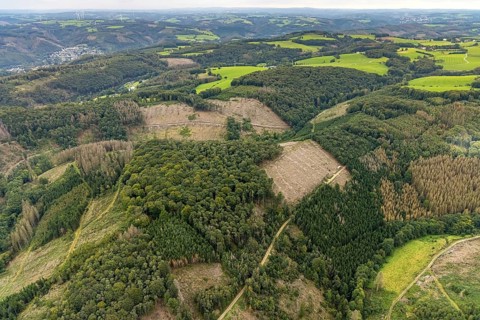 Aerial view, forest damage at Rafflenbeuler Kopf at the village Zurstraße in the district Eilpe in
