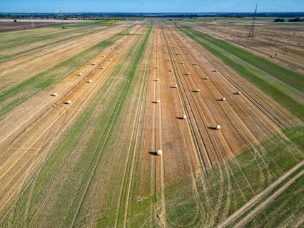 Farmland after harvest, hay bales, straw bales temporarily stored on field, baler, agriculture,