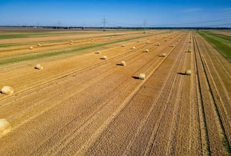 DefaultArable land after harvest, hay bales, straw bales temporarily stored on field, baler,