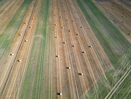 Farmland after harvest, hay bales, straw bales temporarily stored on field, baler, agriculture,