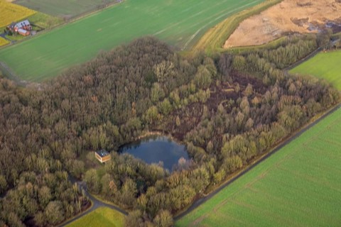 Aerial view forest area Sandbochumer Heide near Kerstheider Straße in Hamm, Ruhr area, North