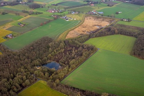 Aerial view forest area Sandbochumer Heide near Kerstheider Straße in Hamm, Ruhr area, North