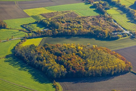 Aerial view, forest and small transformer station with hill Martinstraße in the district Pelkum in