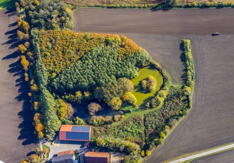 Aerial view, Small forest with pond at Neuer Weg behind the house Reck in the district Pelkum in