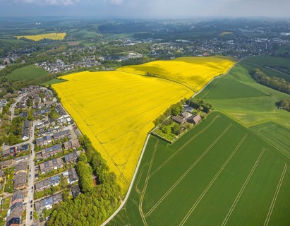 Aerial view, rape fields Heidestraße corner Dümgesweg, Leubeck, Heiligenhaus, Ruhr area, North