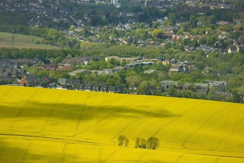 Aerial view, rape fields Heidestraße corner Dümgesweg, Leubeck, Heiligenhaus, Ruhr area, North
